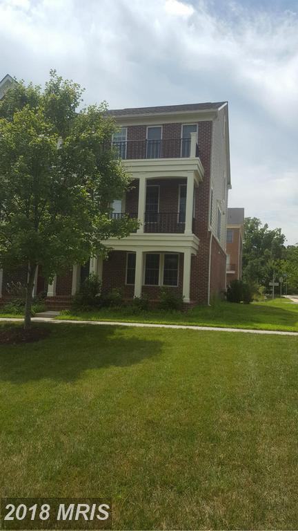 41052 Coltrane Square - Photo 2 of 10