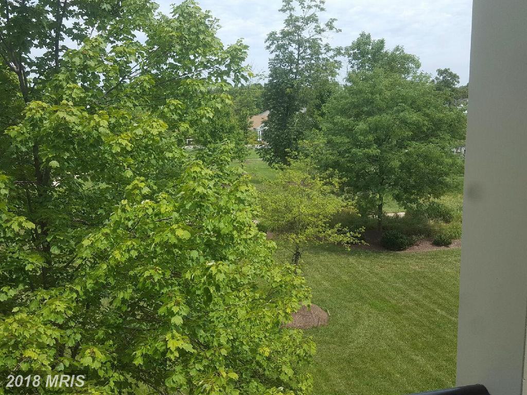 41052 Coltrane Square - Photo 3 of 10