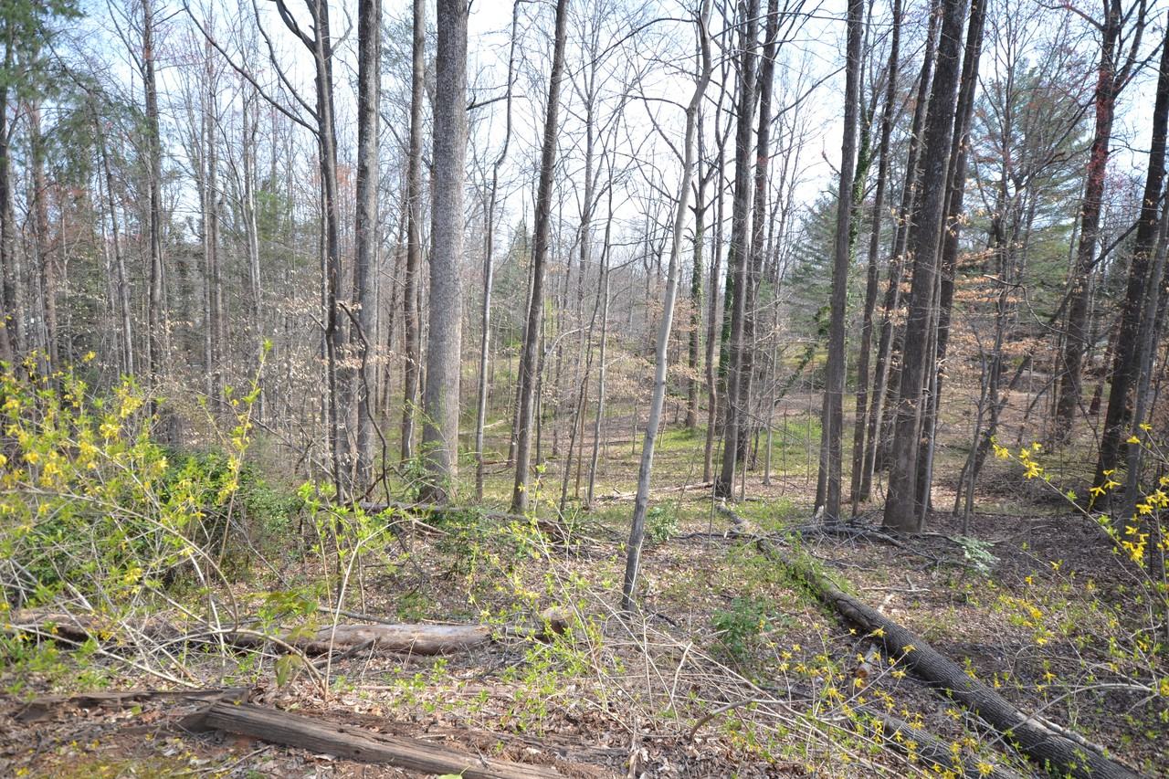 739 Peniel Rd - Photo 3 of 25