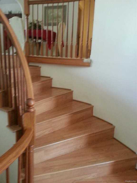 4705 Maddie Ln - Photo 3 of 11