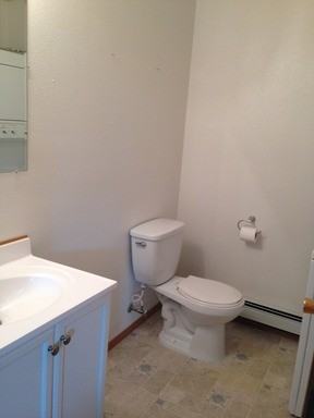 1010 Shaker Box Court - Photo 3 of 7