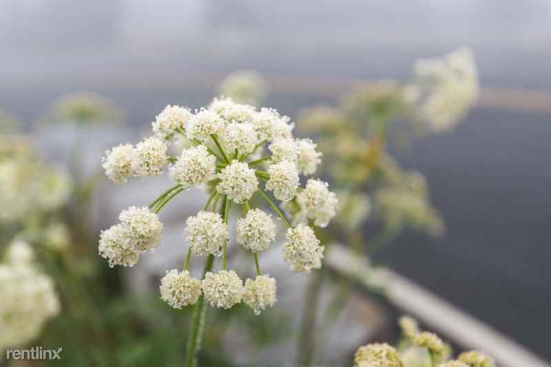 2012 43rd Ave E - Photo 3 of 13