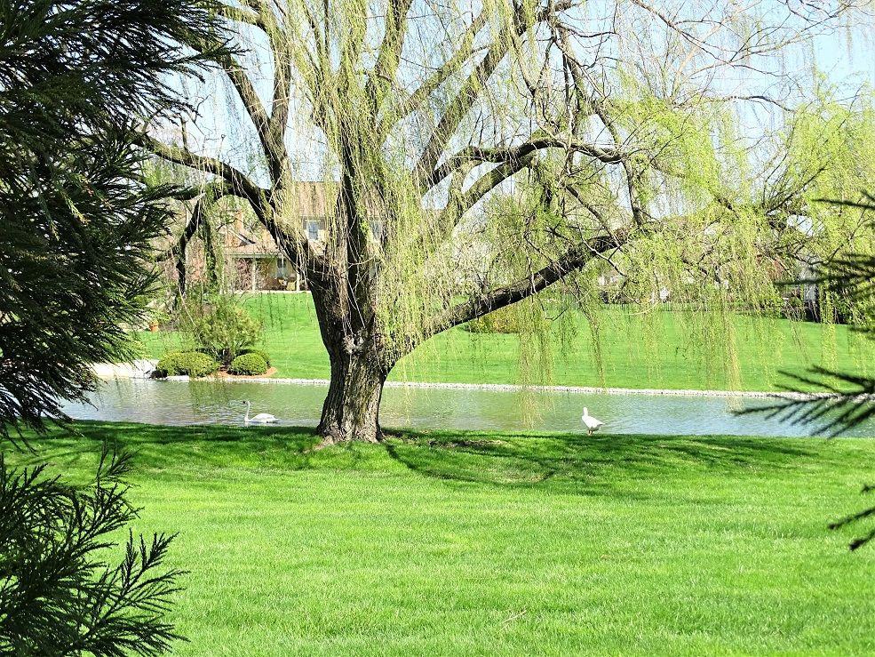 355 Cedar Hollow - Photo 3 of 3