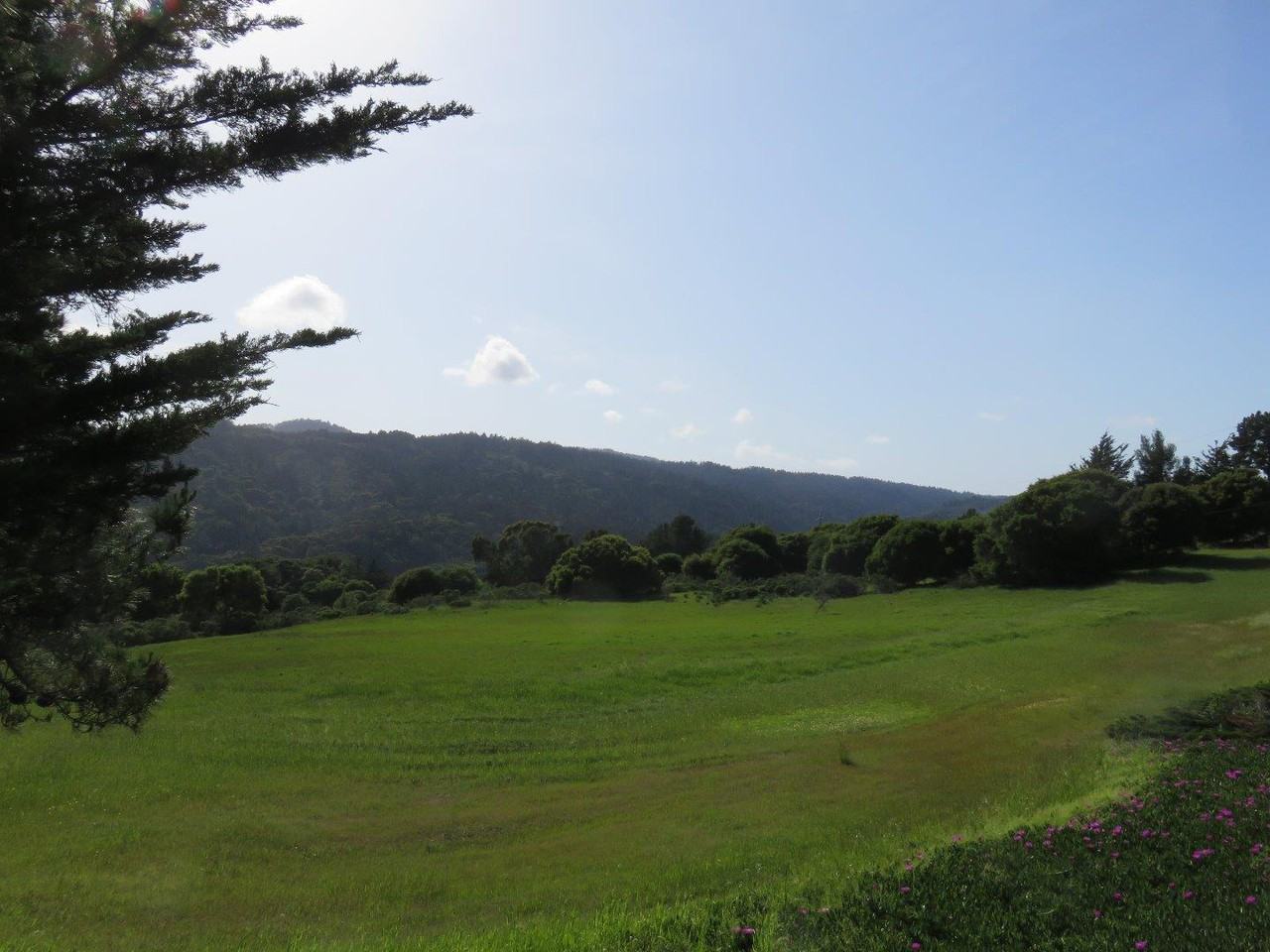 1598 Lexington Ave - Photo 2 of 4