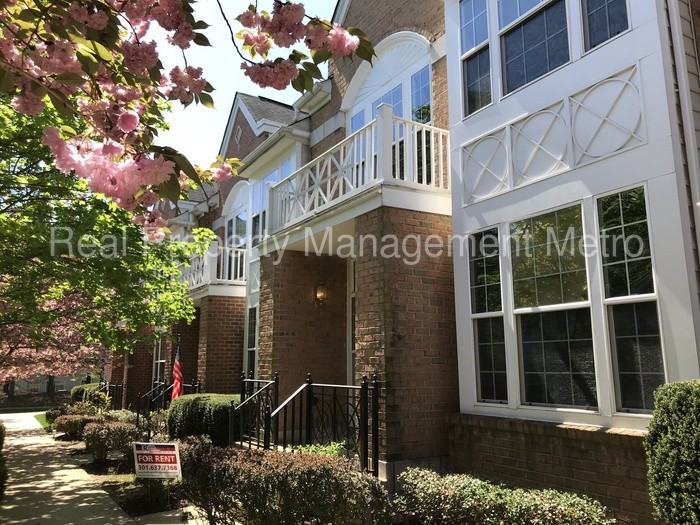 5913 Perfect Calm Ct - Photo 3 of 17