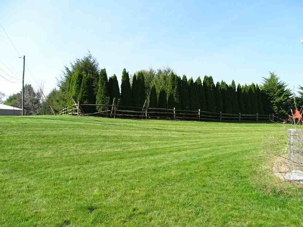 418 Mount Olive Ln - Photo 3 of 3