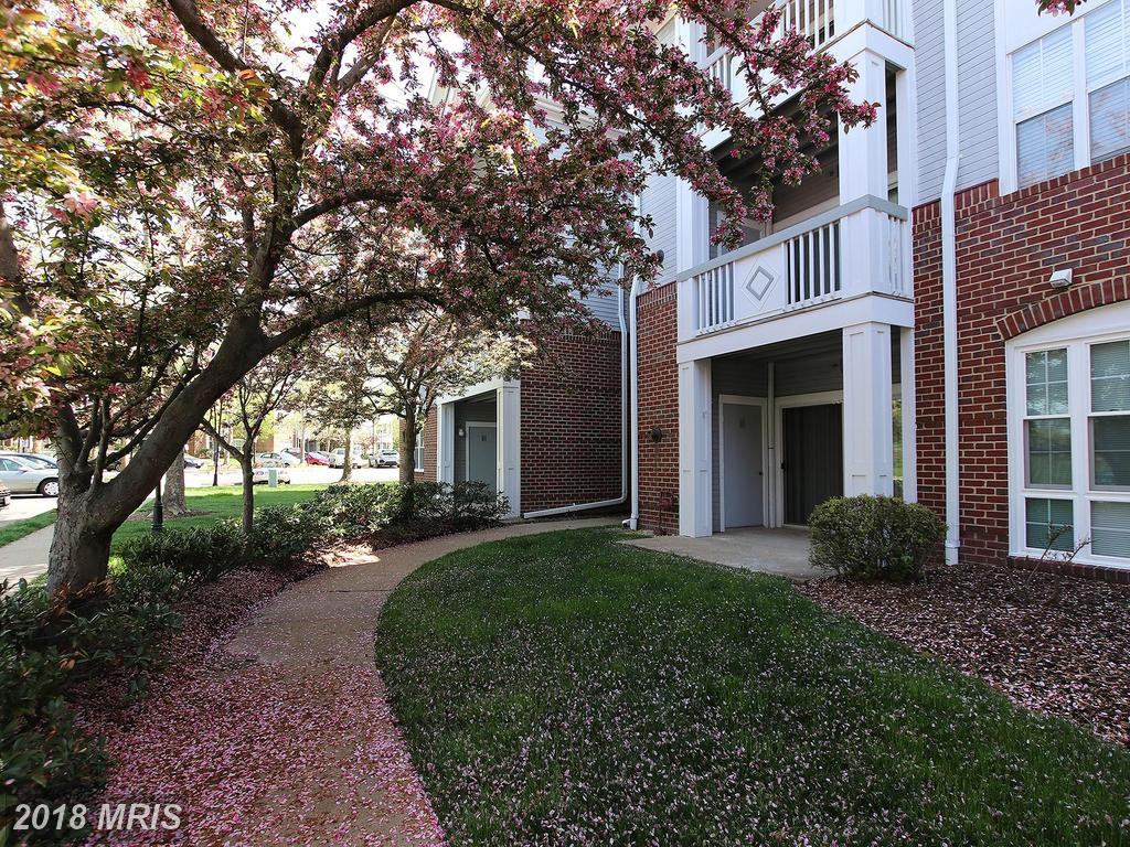 20290 Beechwood Terrace - Photo 2 of 23