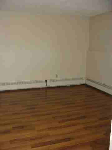 BOWER -  Spacious 1 bdrm condo - Pet Friendly! - Photo 3 of 6