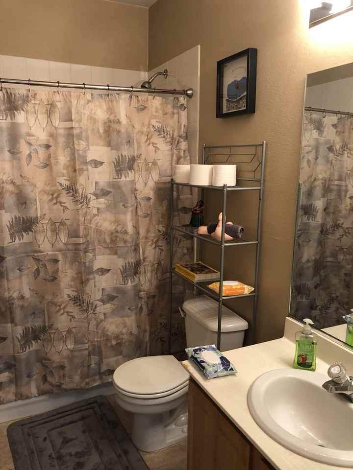 3552 Pinnate Drive - Photo 3 of 9