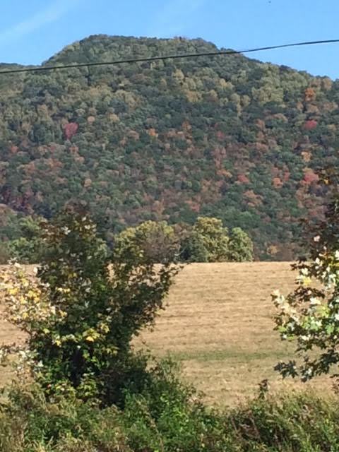 345 Arrowood Rd - Photo 3 of 25