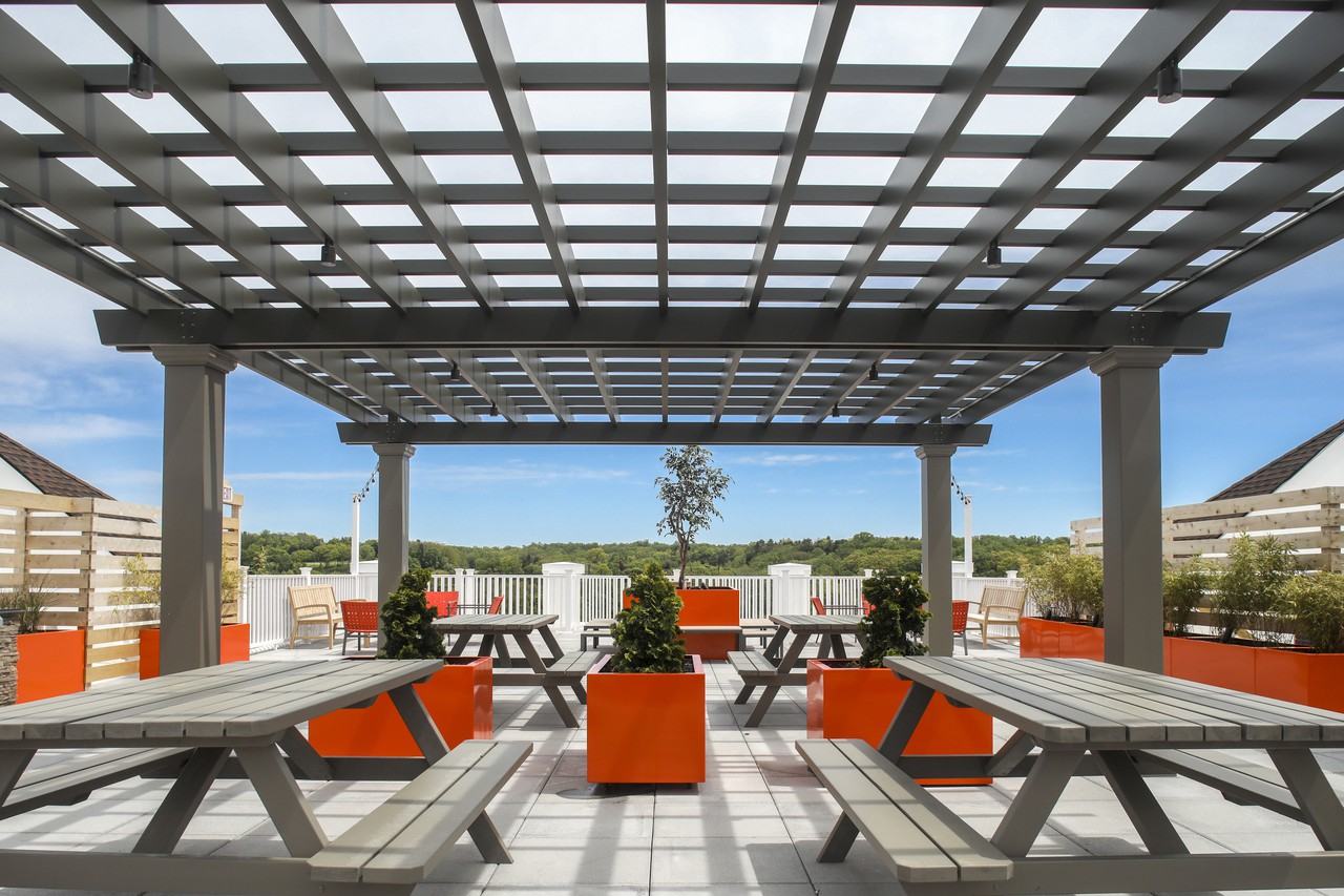 Apex at 290 - Photo 2 of 50