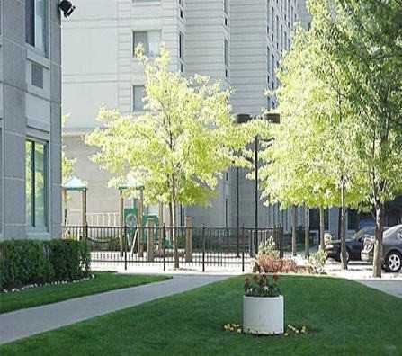 Queenswood Apartments 5439 100th St, New York, NY 11368 Zumper