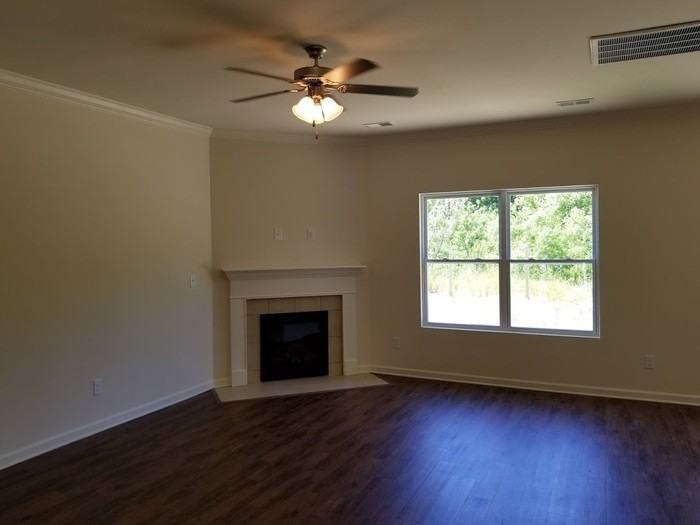 325 Chapel Hill Trail - Photo 2 of 17