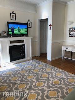 Maple Tree - Photo 2 of 8