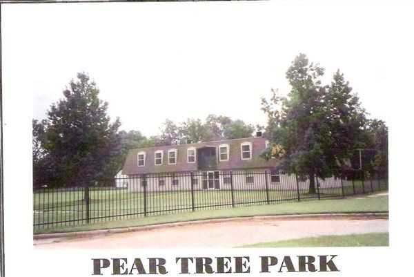 Pear Tree Park - Photo 2 of 2