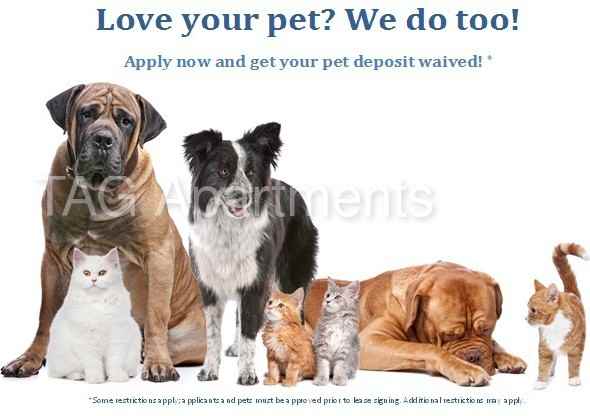 10603 E Jewell Ave #B216