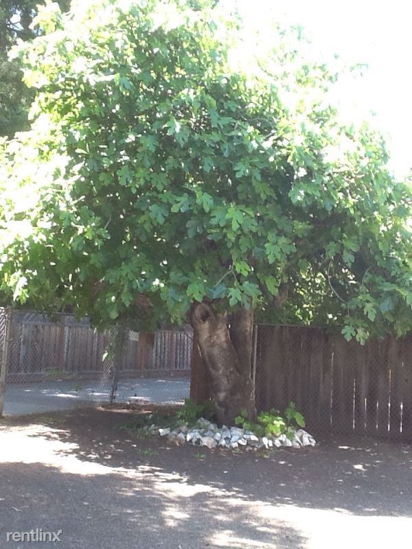 1810 Concord Ave - Photo 2 of 15