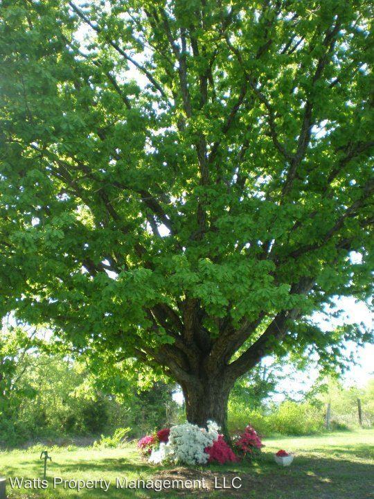 8499 Brookneal Hwy - Photo 3 of 8