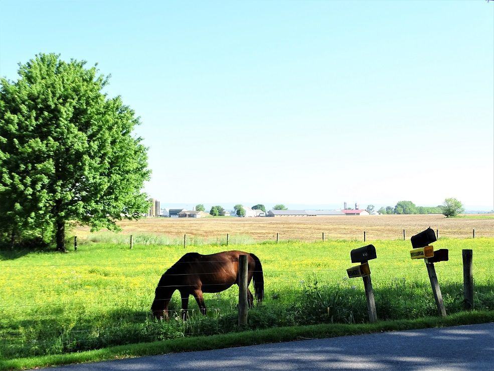 120 Mountain Rd - Photo 2 of 20