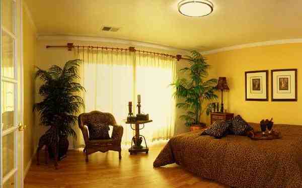 493 Daisydell Ct - Photo 3 of 13