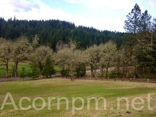 85248 Chezem Rd - Photo 2 of 8