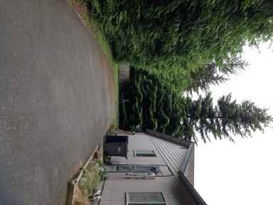 624 Nehalem Ln - Photo 3 of 25