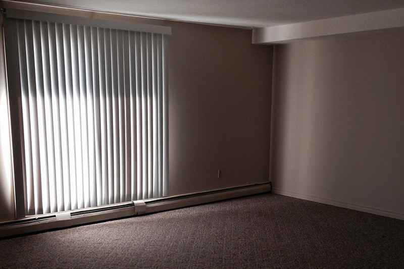 Blue Heron - Photo 2 of 11