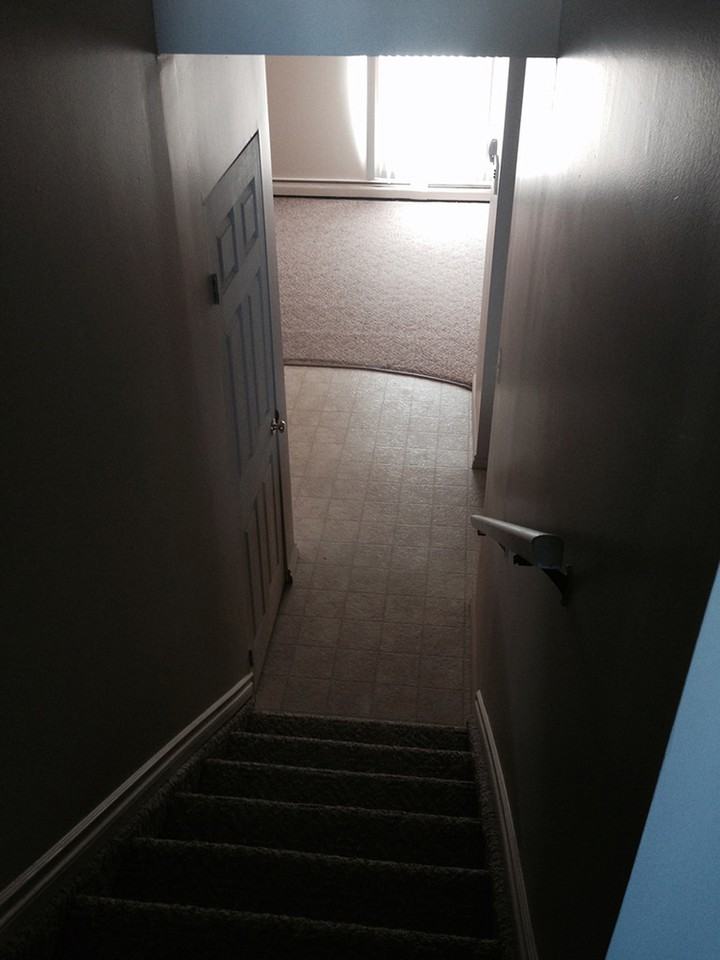 Blue Heron - Photo 3 of 11