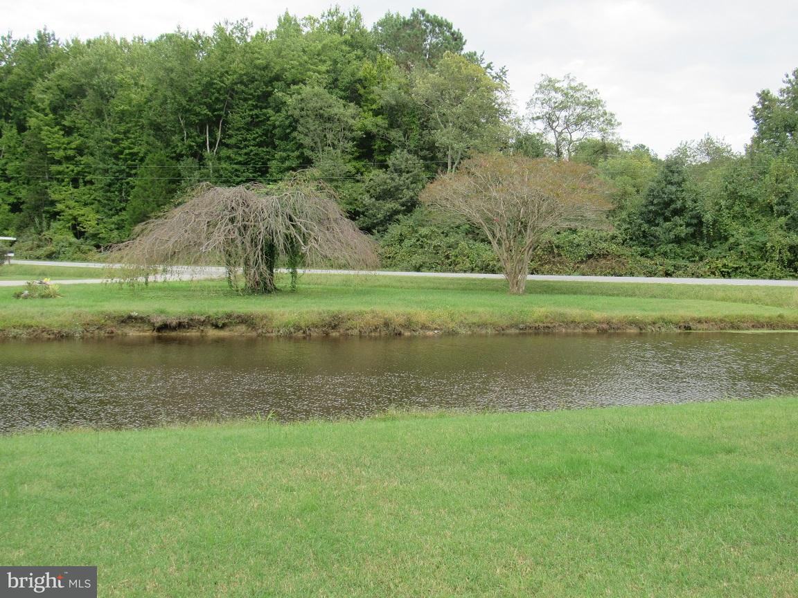 39870 Combs Rd - Photo 3 of 12