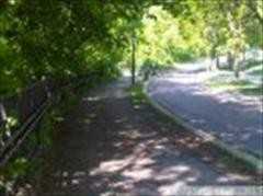 714 W Minnehaha Pkwy - Photo 3 of 8