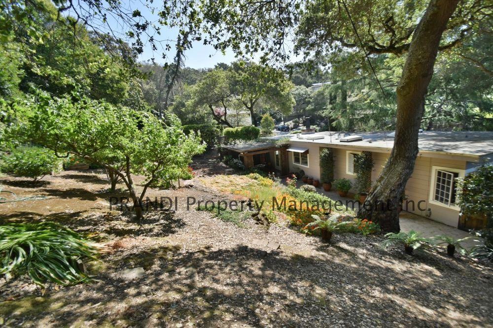 1 Corte Dorado - Photo 3 of 19