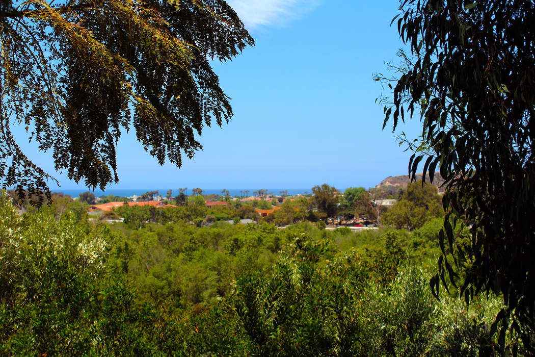 3623 Serra Rd - Photo 2 of 17