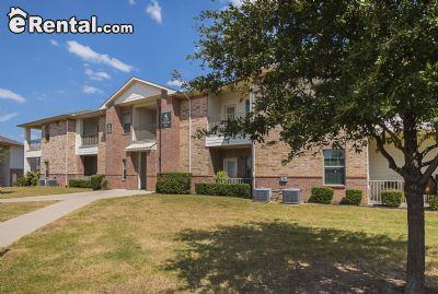 Yellow Rose Cir - Photo 3 of 10