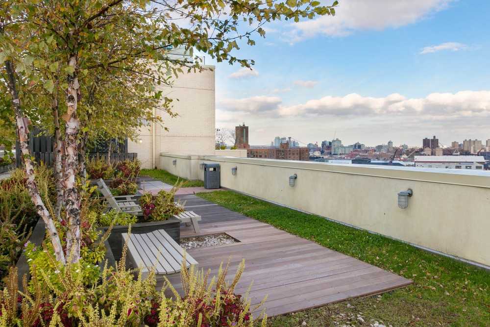 Brooklyn Gold - Photo 2 of 24