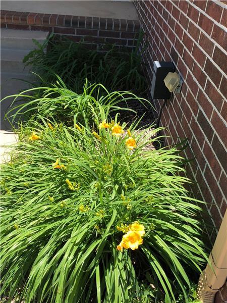 637 High Plains Cir - Photo 2 of 25