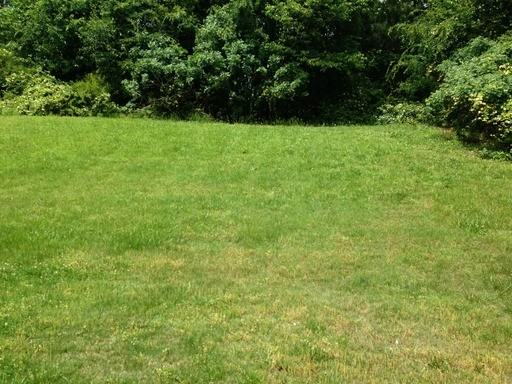 1841 Sugar Hollow Dr - Photo 3 of 10