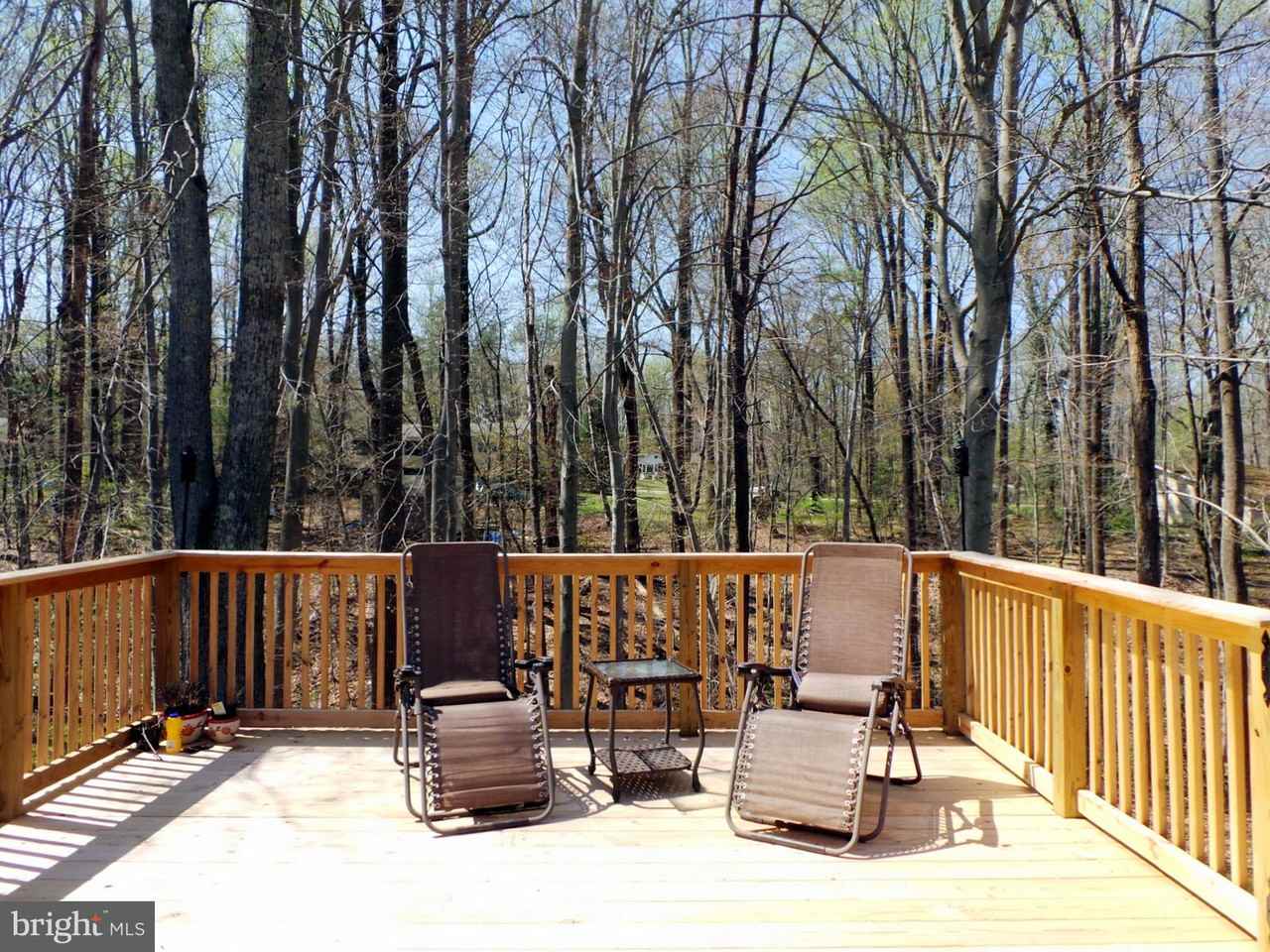 28959 Hill and Dale Dr - Photo 3 of 21