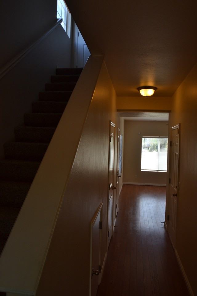 2397 Red Bur Court - Photo 2 of 16