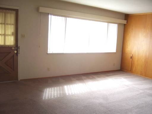 1293 Collier Dr - Photo 3 of 13