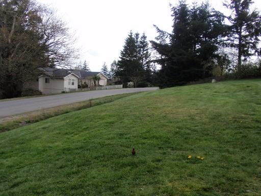 4543 N Larson Dr - Photo 3 of 32