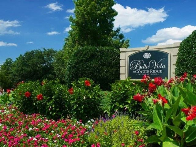 Bella Vida at Coyote Ridge - Photo 2 of 12