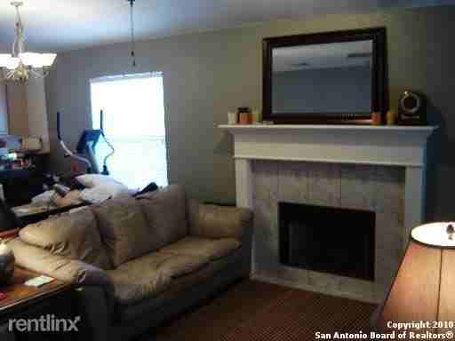 20514 Gathering Oak - Photo 2 of 10