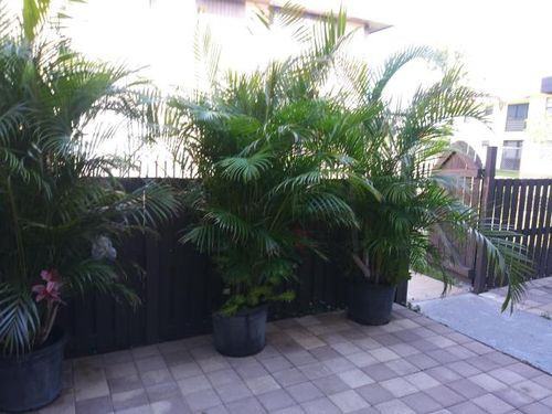 2110 Sherwood Forest Blvd 22 - Photo 2 of 3