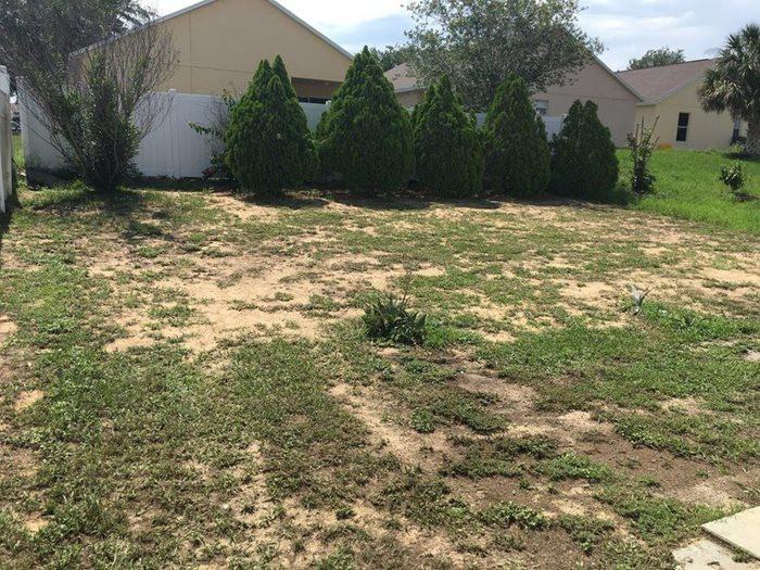 1325 Belvoir Dr - Photo 2 of 13