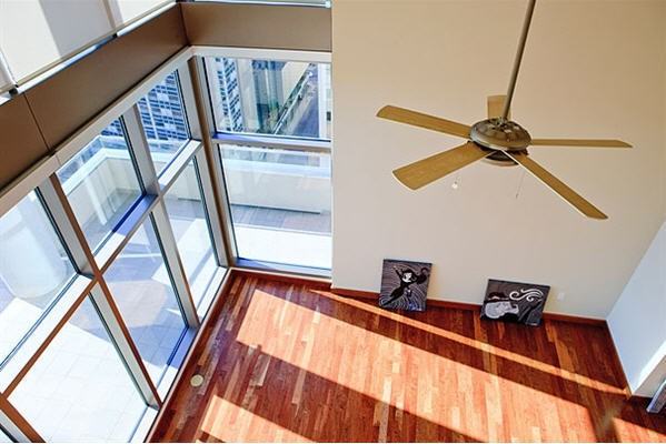 The Element - Photo 3 of 14