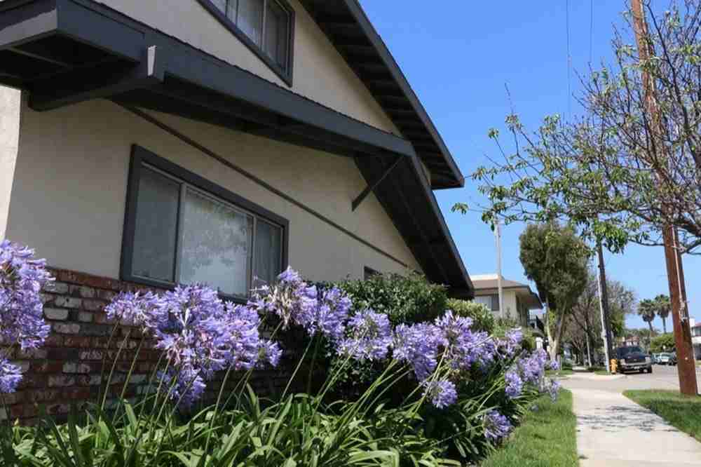 Huntington Reef - Photo 2 of 20