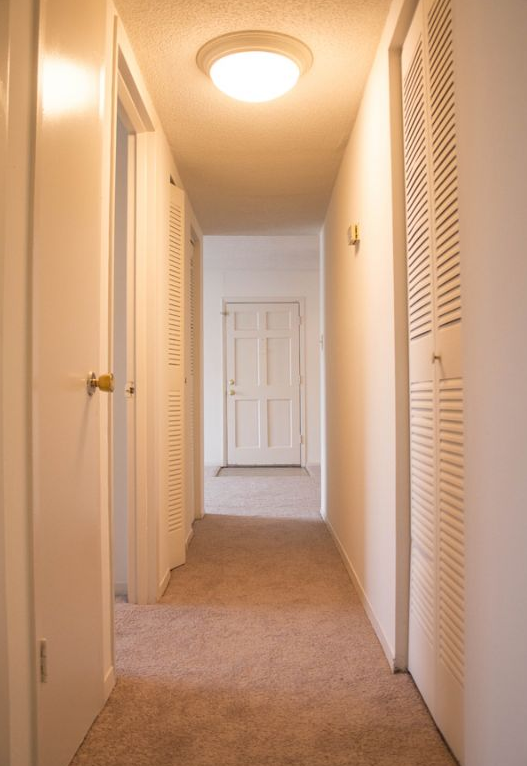 Treehaven - Photo 2 of 10