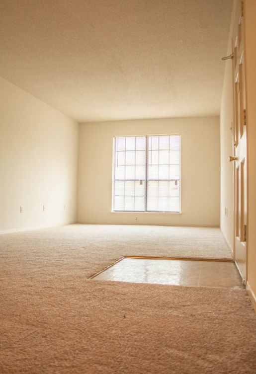 Treehaven - Photo 3 of 10