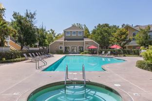Woodland Meadow - Photo 1 of 1
