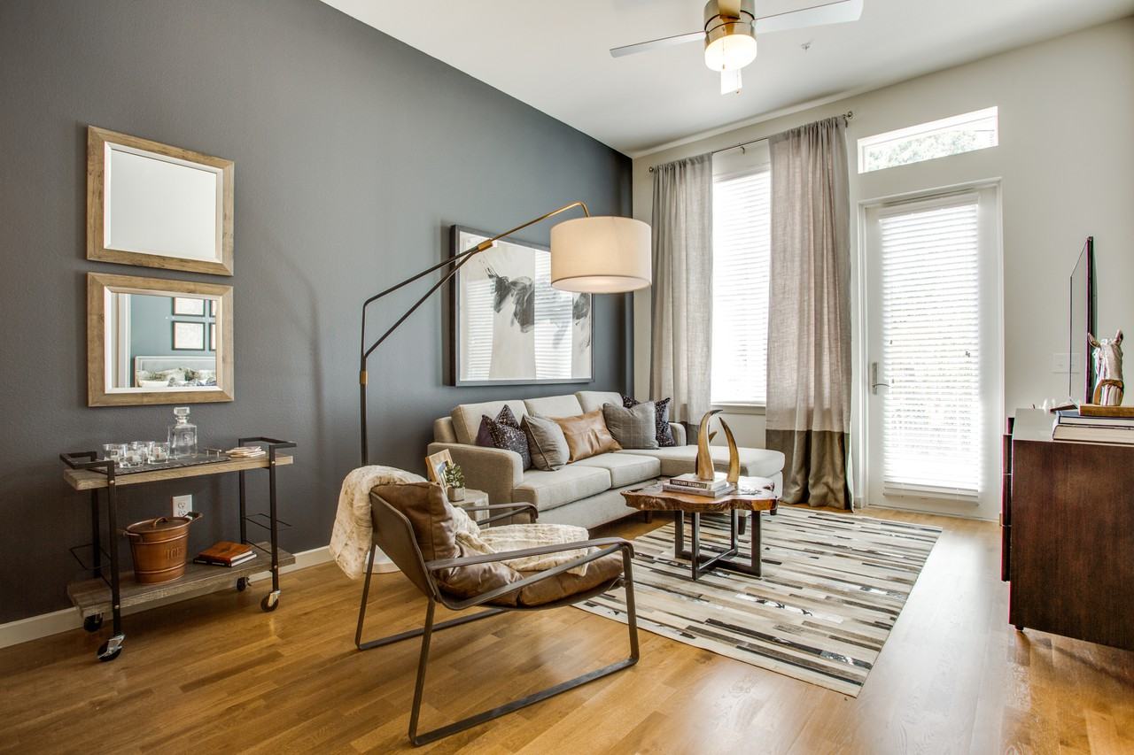 Stella - Photo 2 of 50